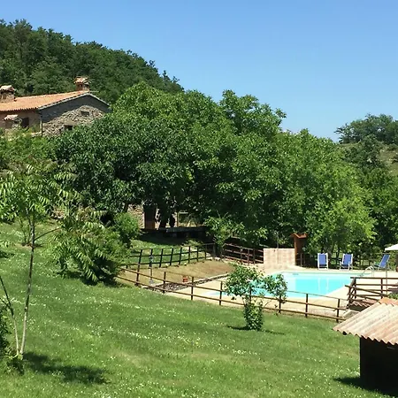 Timeless Holiday In With Garden