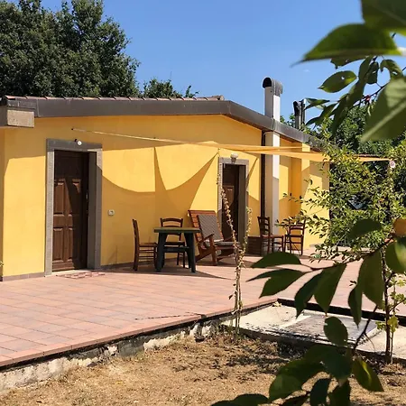 Holiday home Timeless Holiday In With Garden *